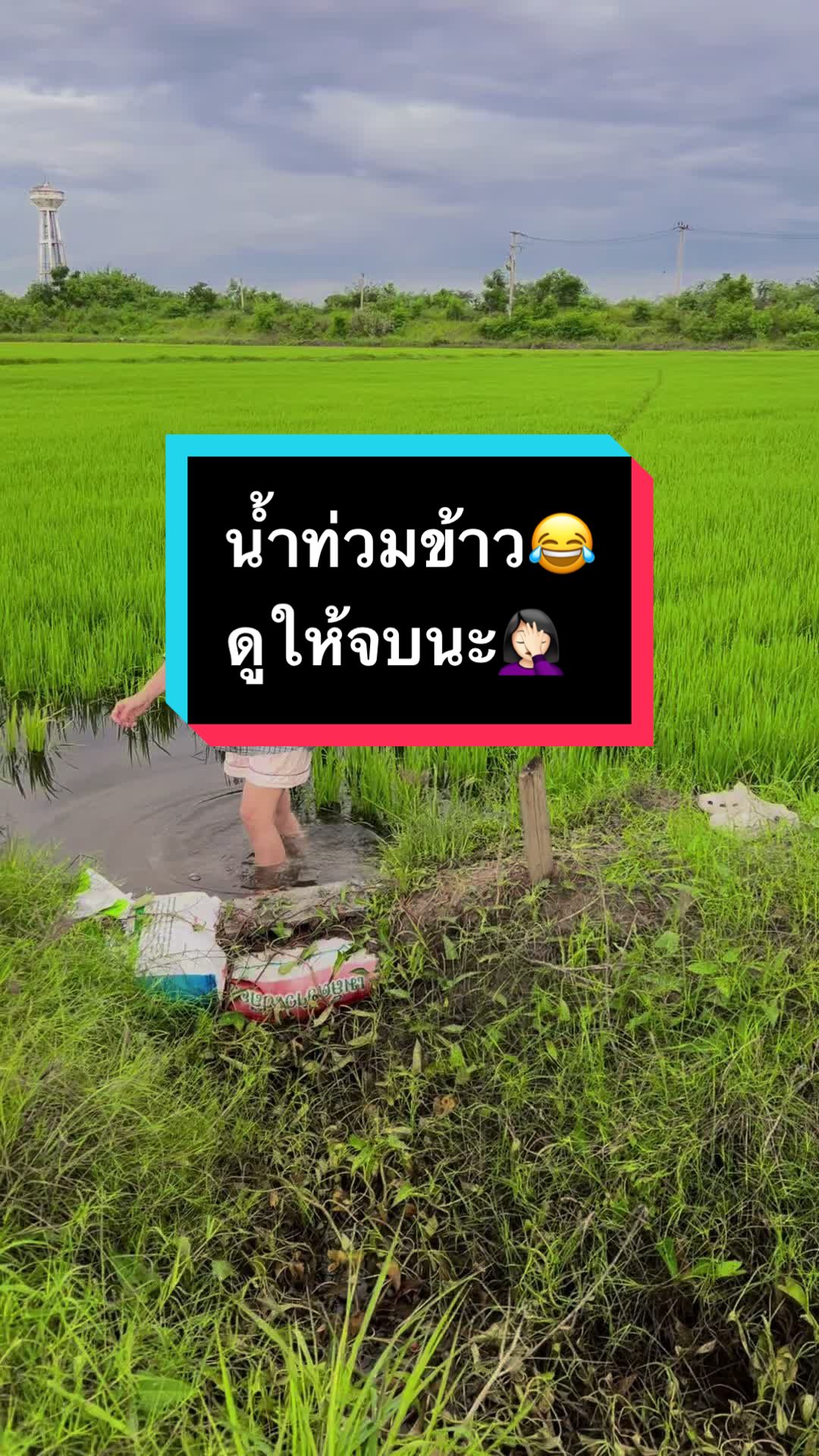 @⋆น้ำผึ้งป่า🐝🌿🌻ᴾᴹ