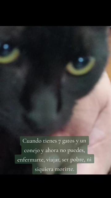 @Azúl Ale