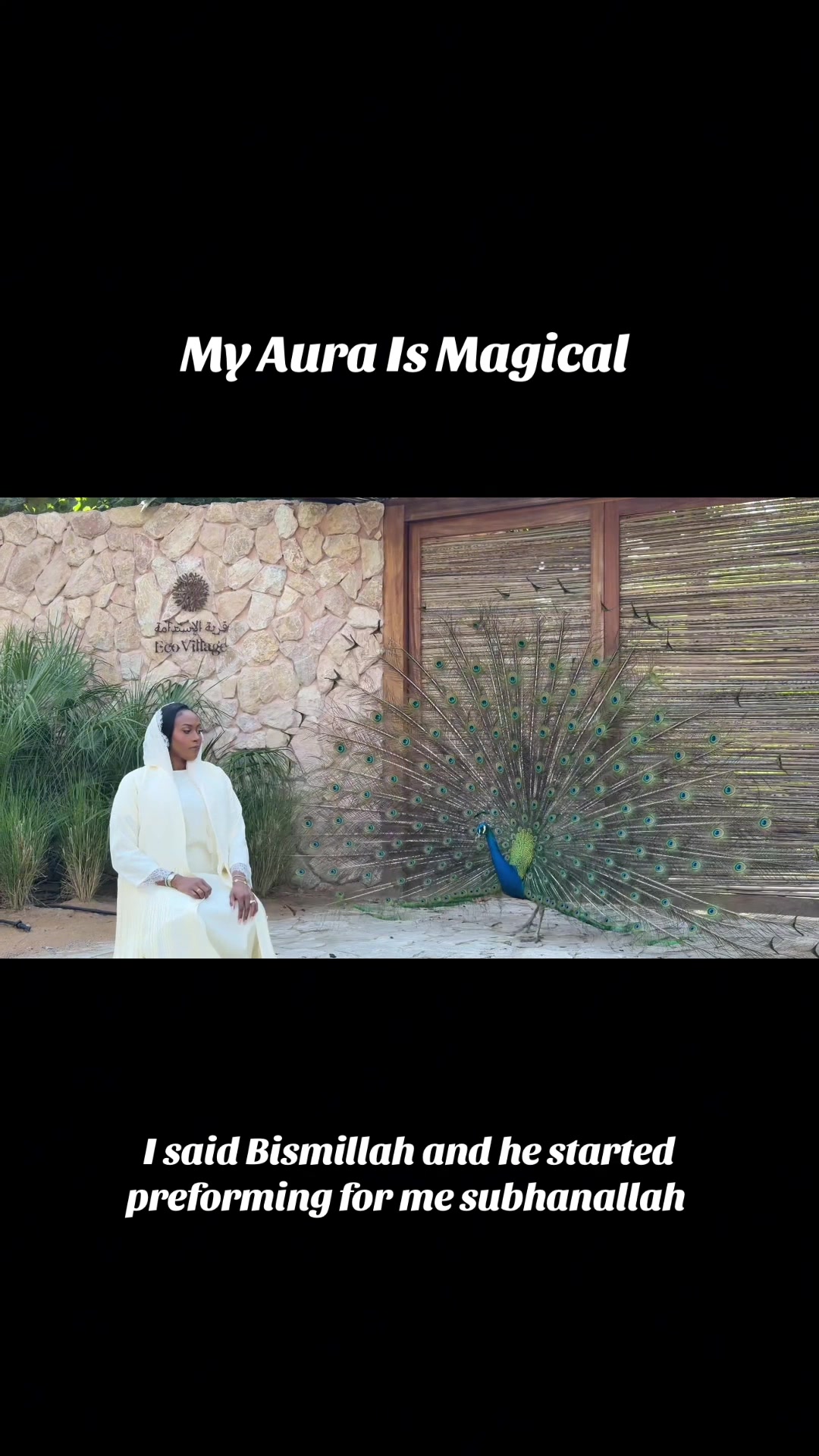 @Amirastorm
