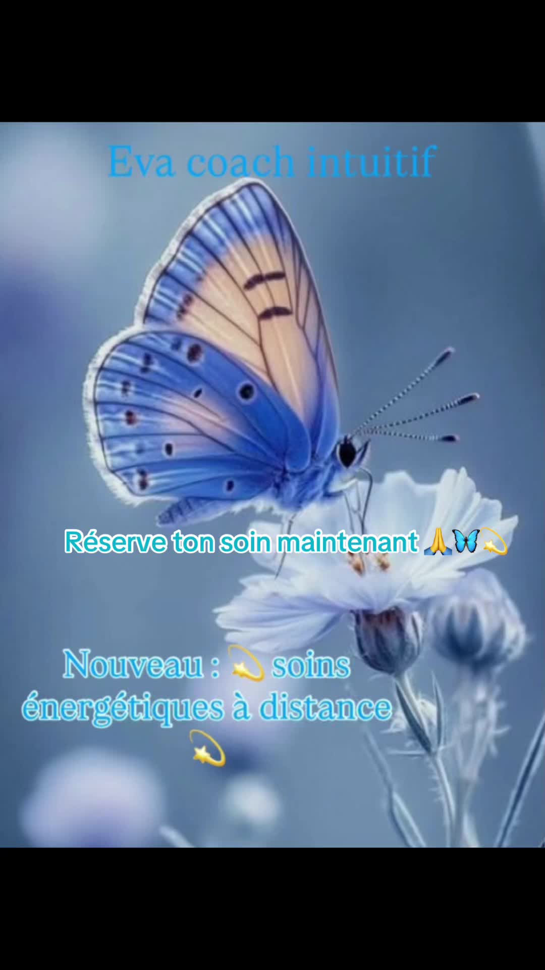 @Eva coach intuitif