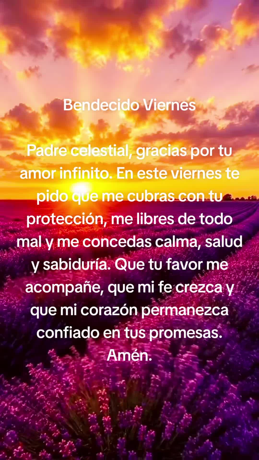 @5 meses y contando!!!