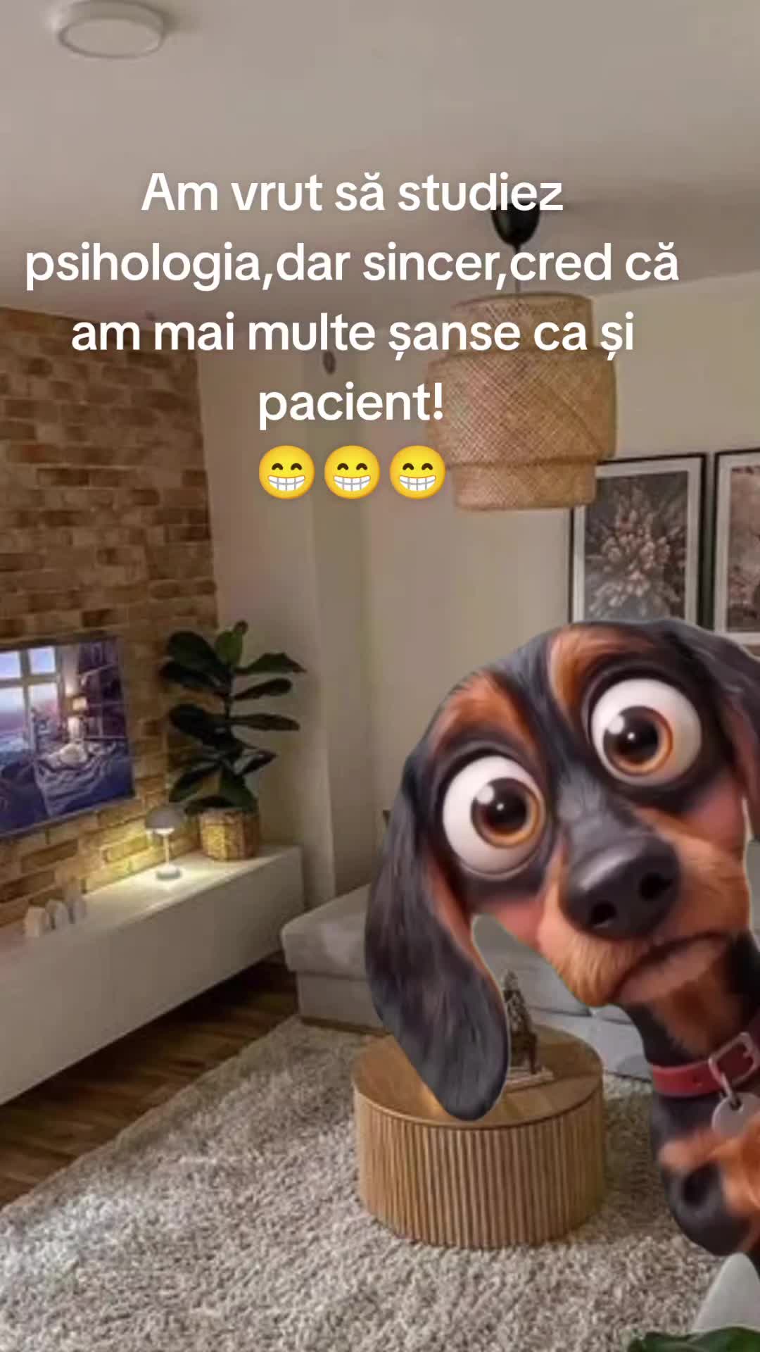 @Carmen Buhinschi