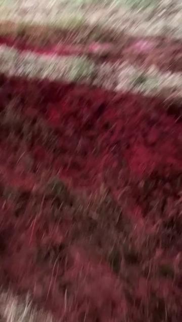 @𝐌 𝐄 𝐋 𝐈 𝐒 𝐒 𝐀