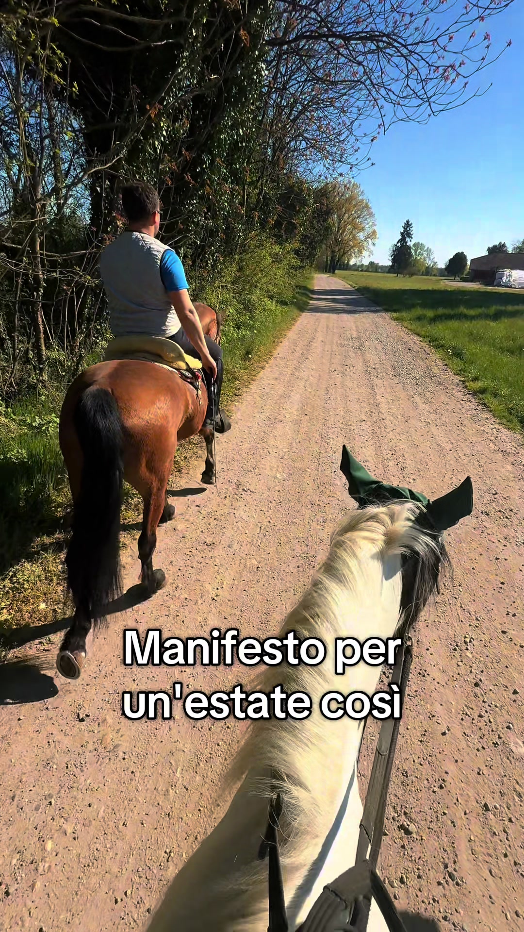 @Diario a Quattro Zampe