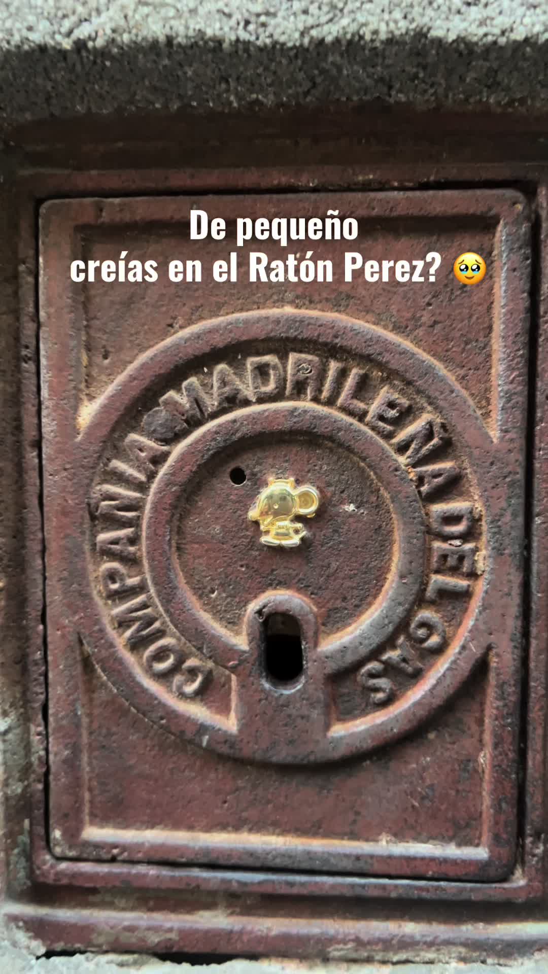 @arirey