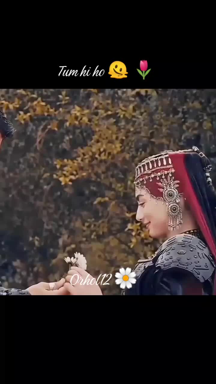 @ORHOL.12
