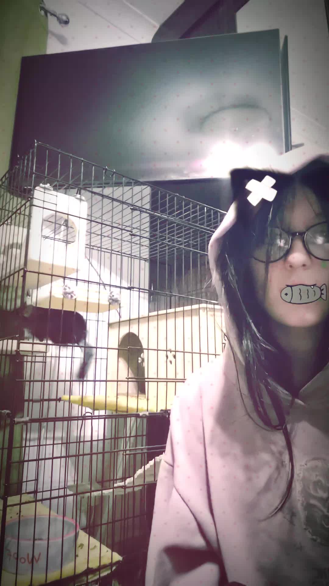 @๐คKayla๐ค(gerards way)