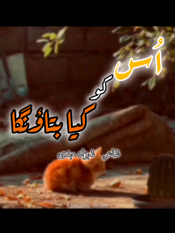 @ᕼᑌ𝚂ᗩIᑎ 🍁