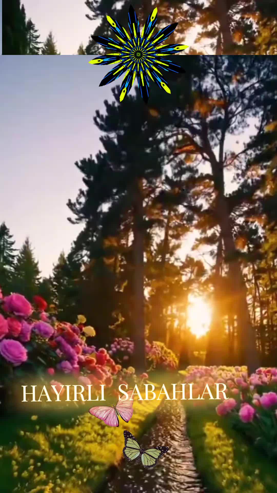 @🌿🌹🌸Merry🌹🌸🌿