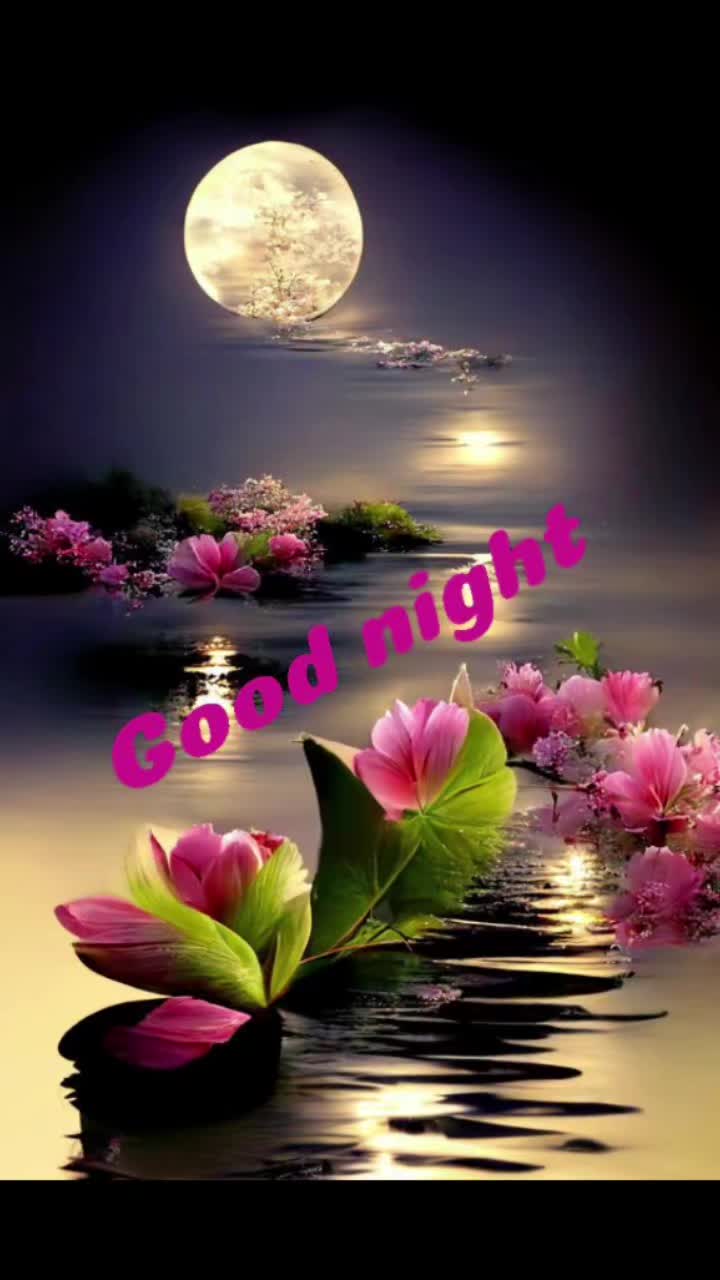 @Sai Meena