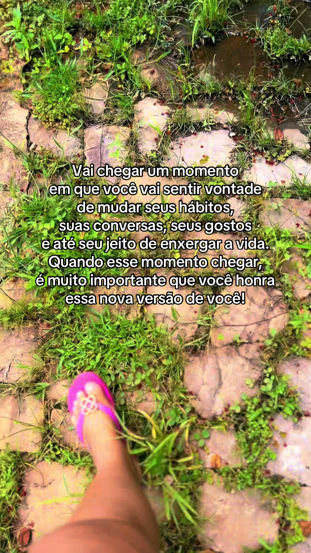 @Pamela Nascimento