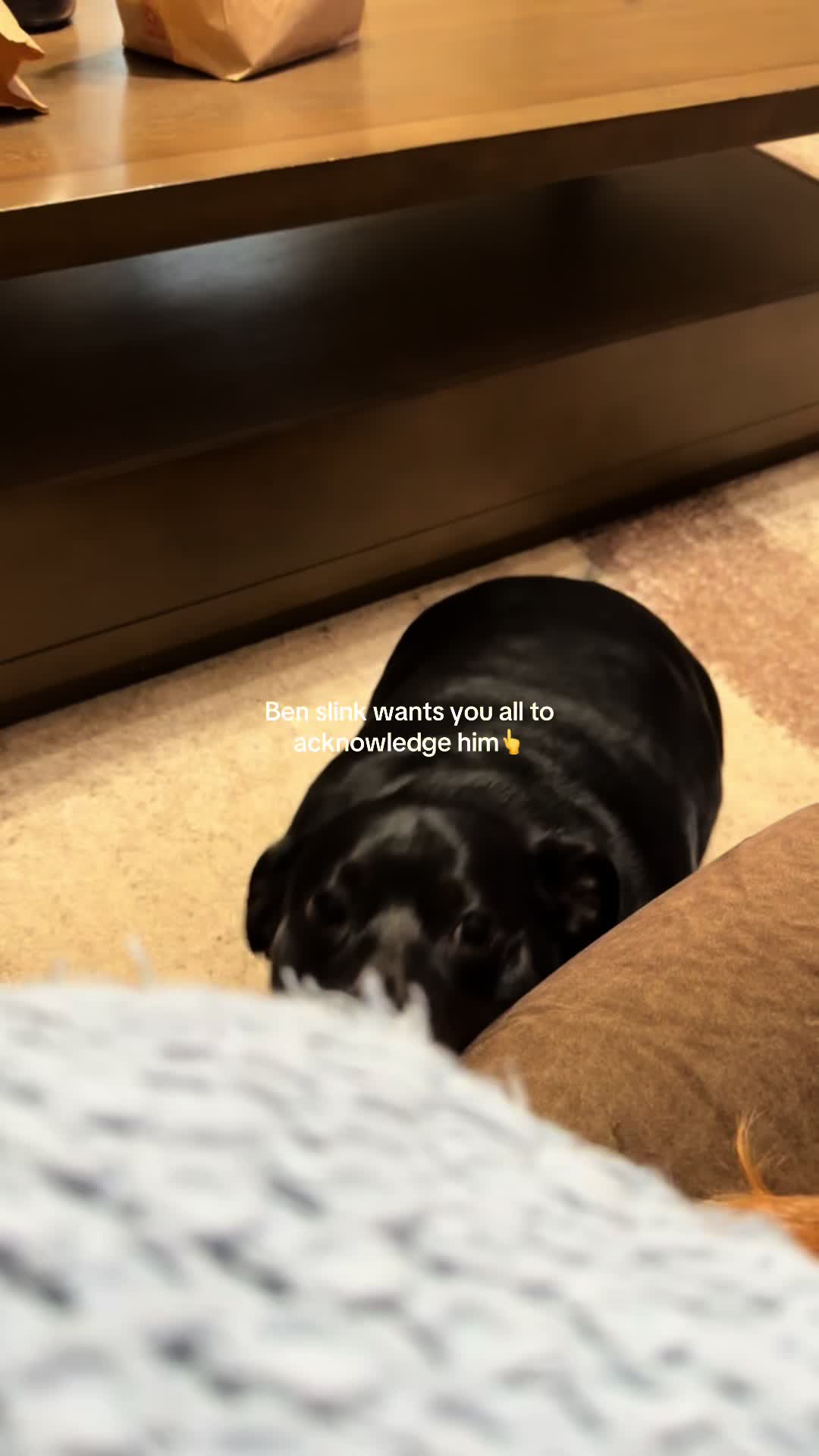 @BenSlinkdawg
