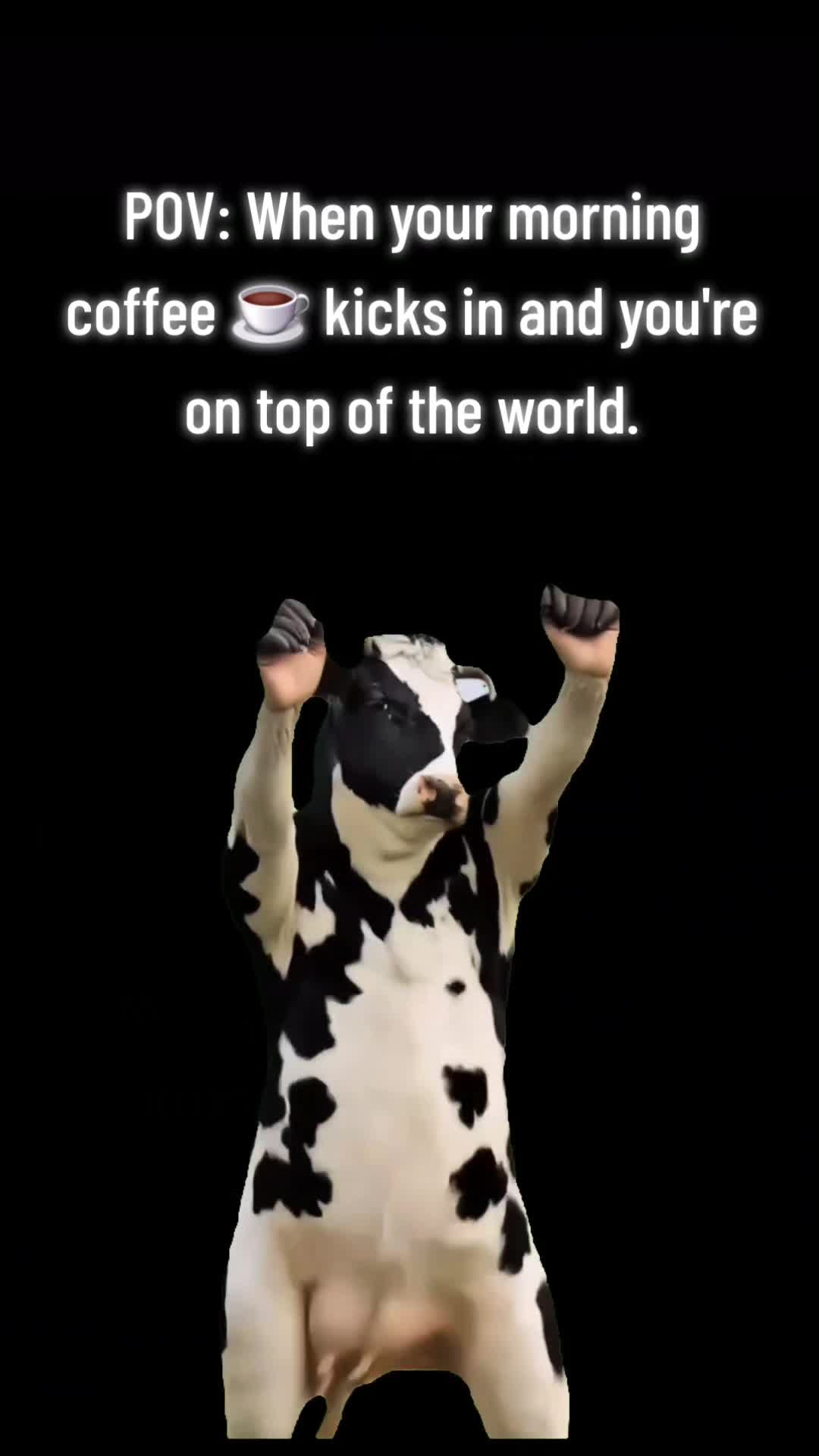 @Cassey Lynn