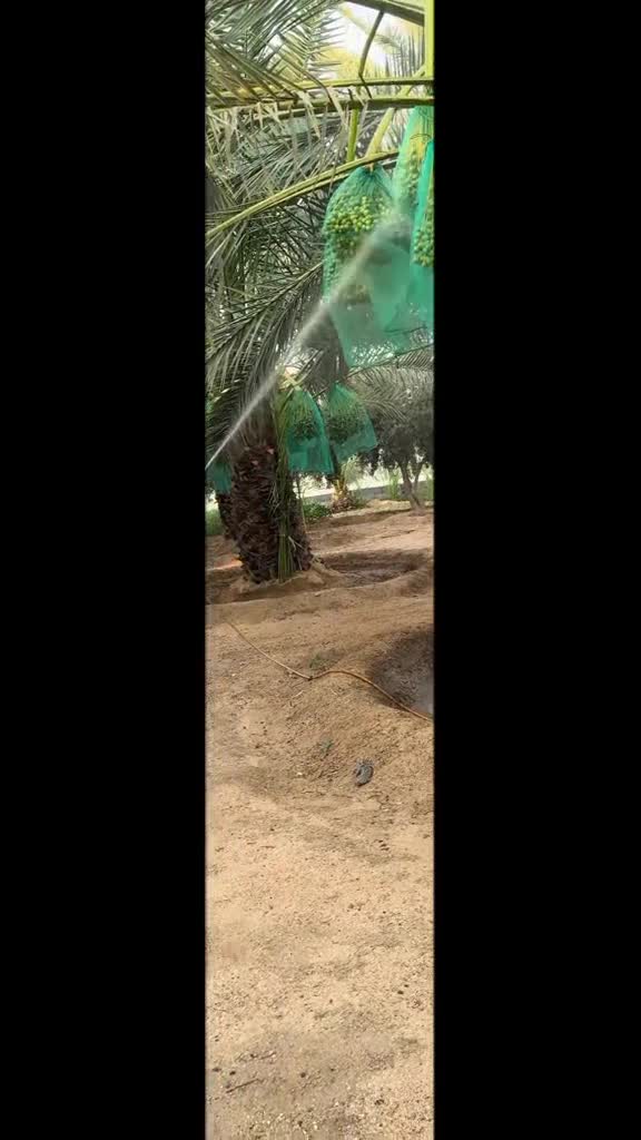 @islami video 🕋🕋🕋🕋