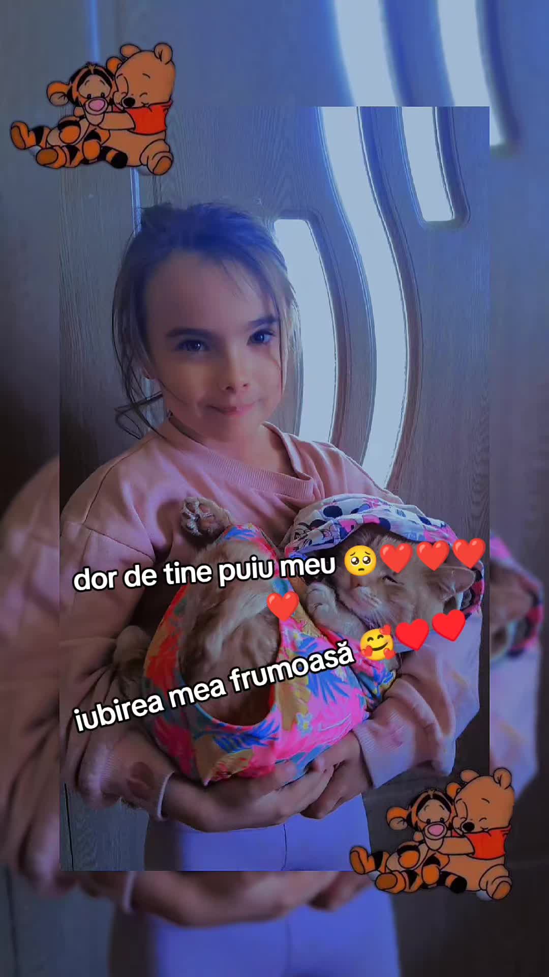 @🇷🇴✴️Floryn Vîlcan❤️🩵🇹🇩
