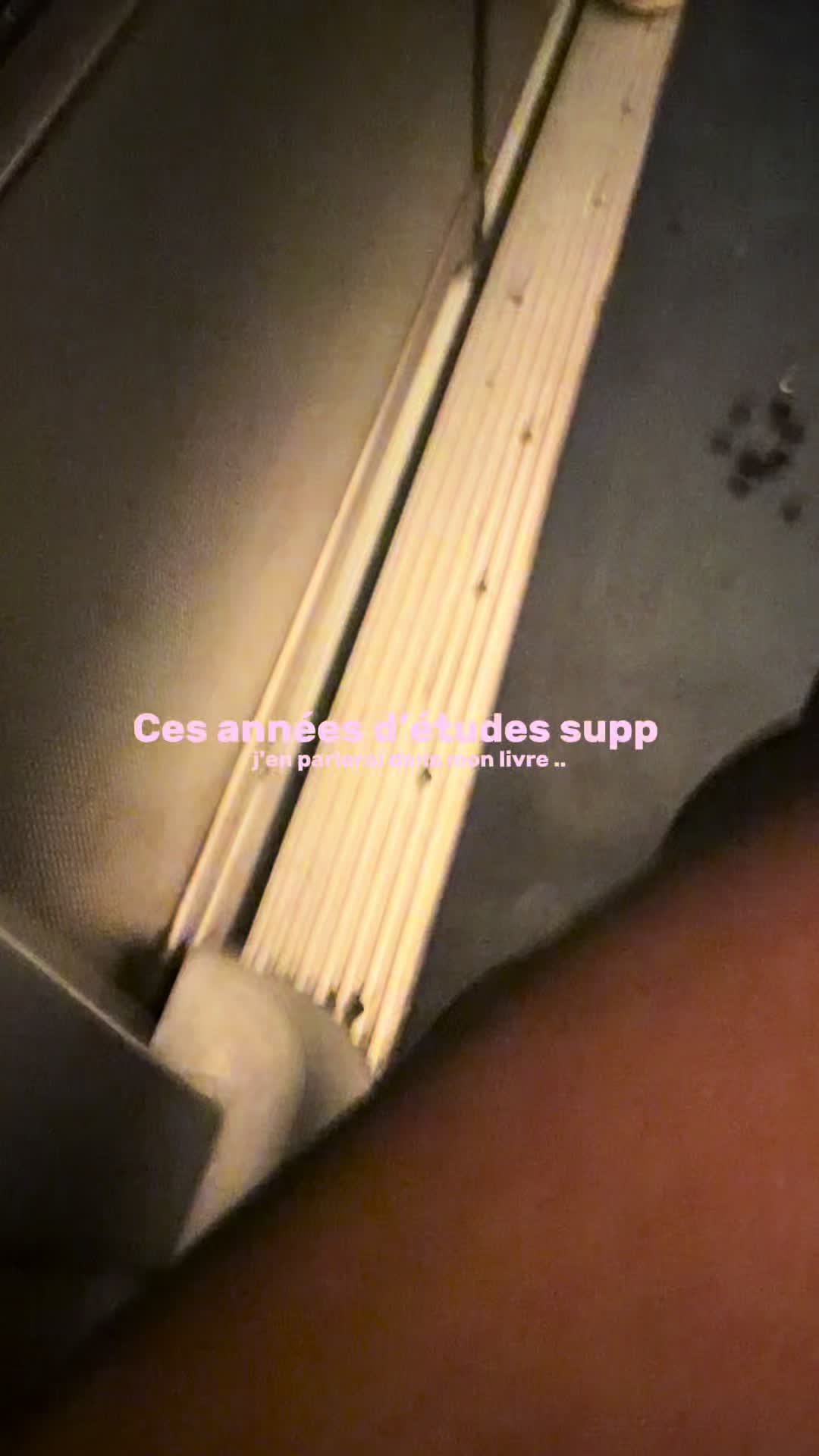 @Taaina__glr
