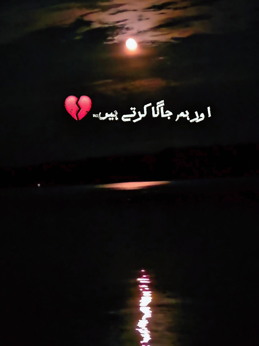 @Amber Khan