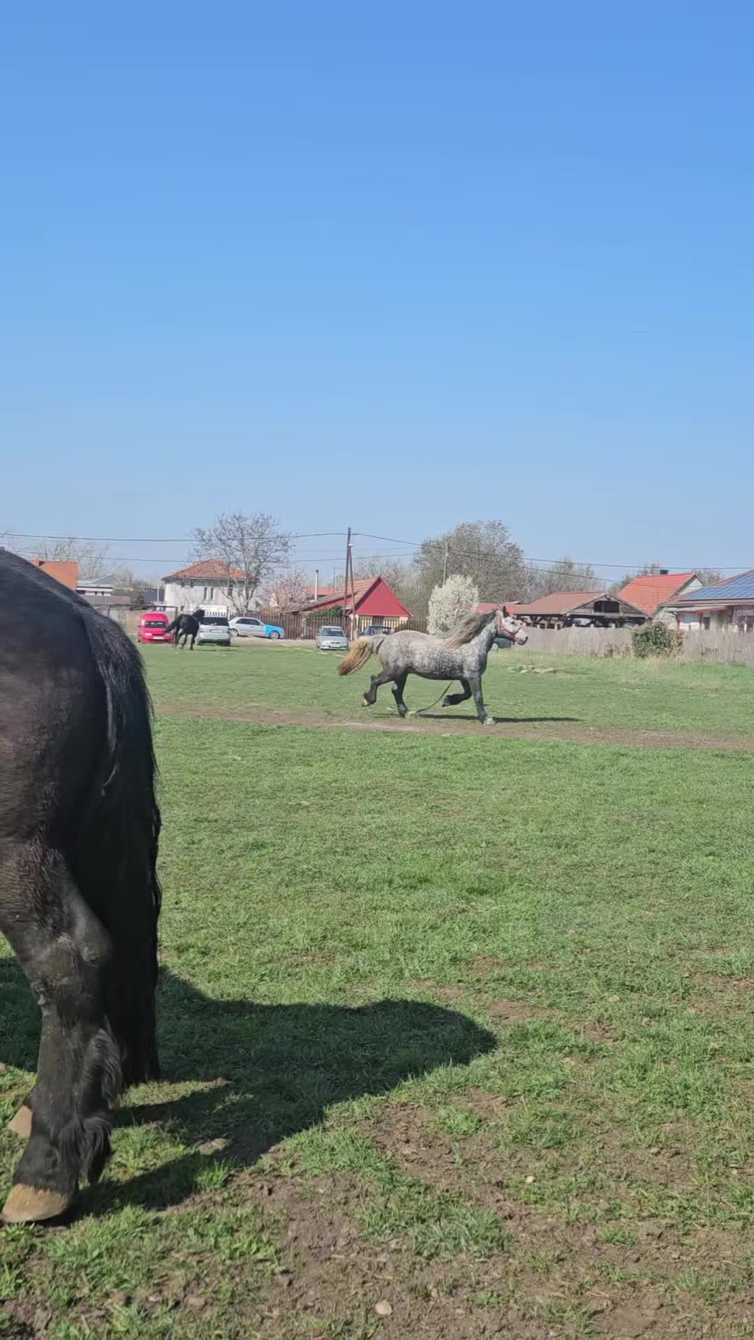 @🙄KIS...PÁTER🙄