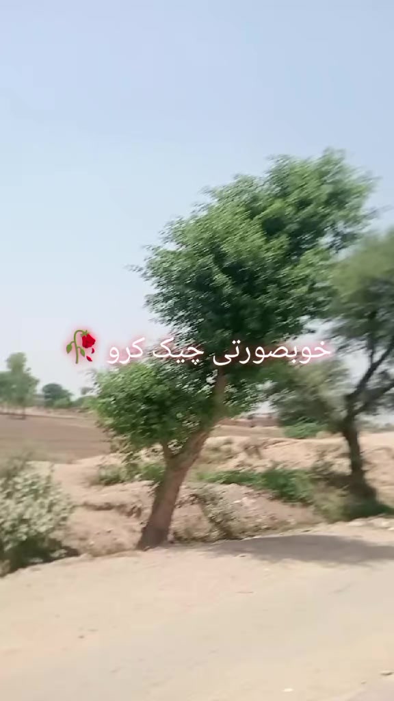 @Muslim video
