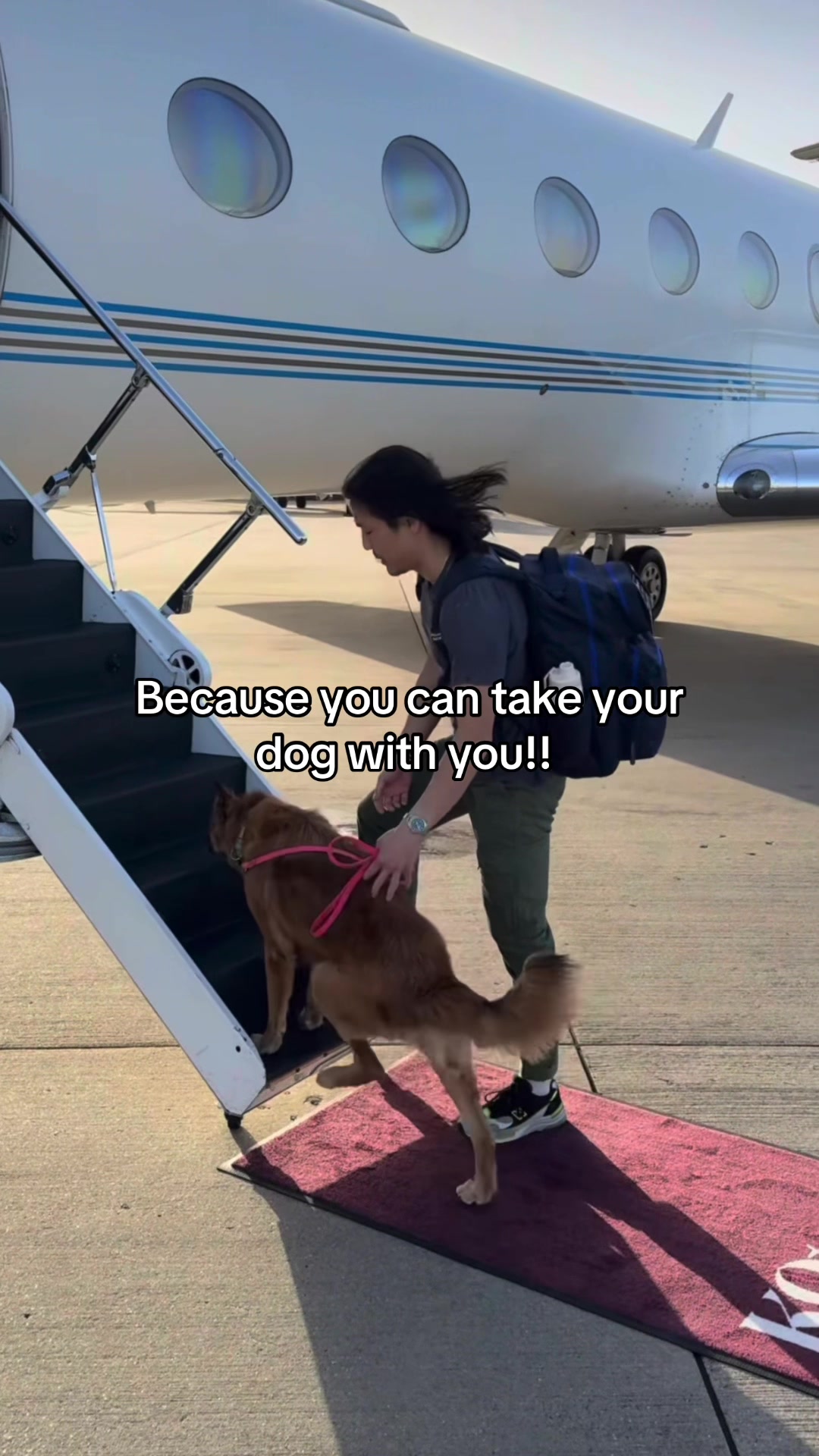 @K9 JETS