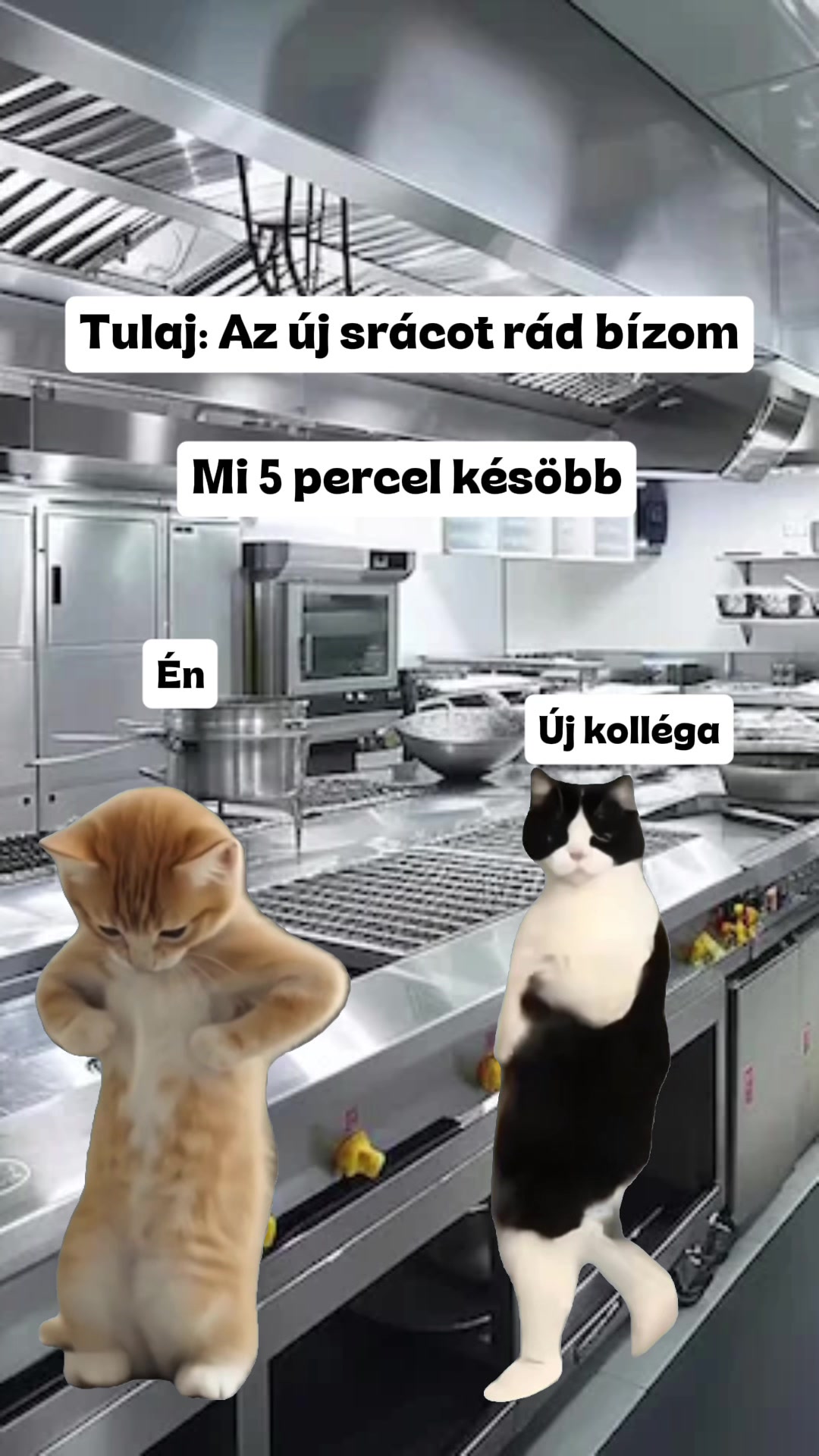 @Tivi🐺