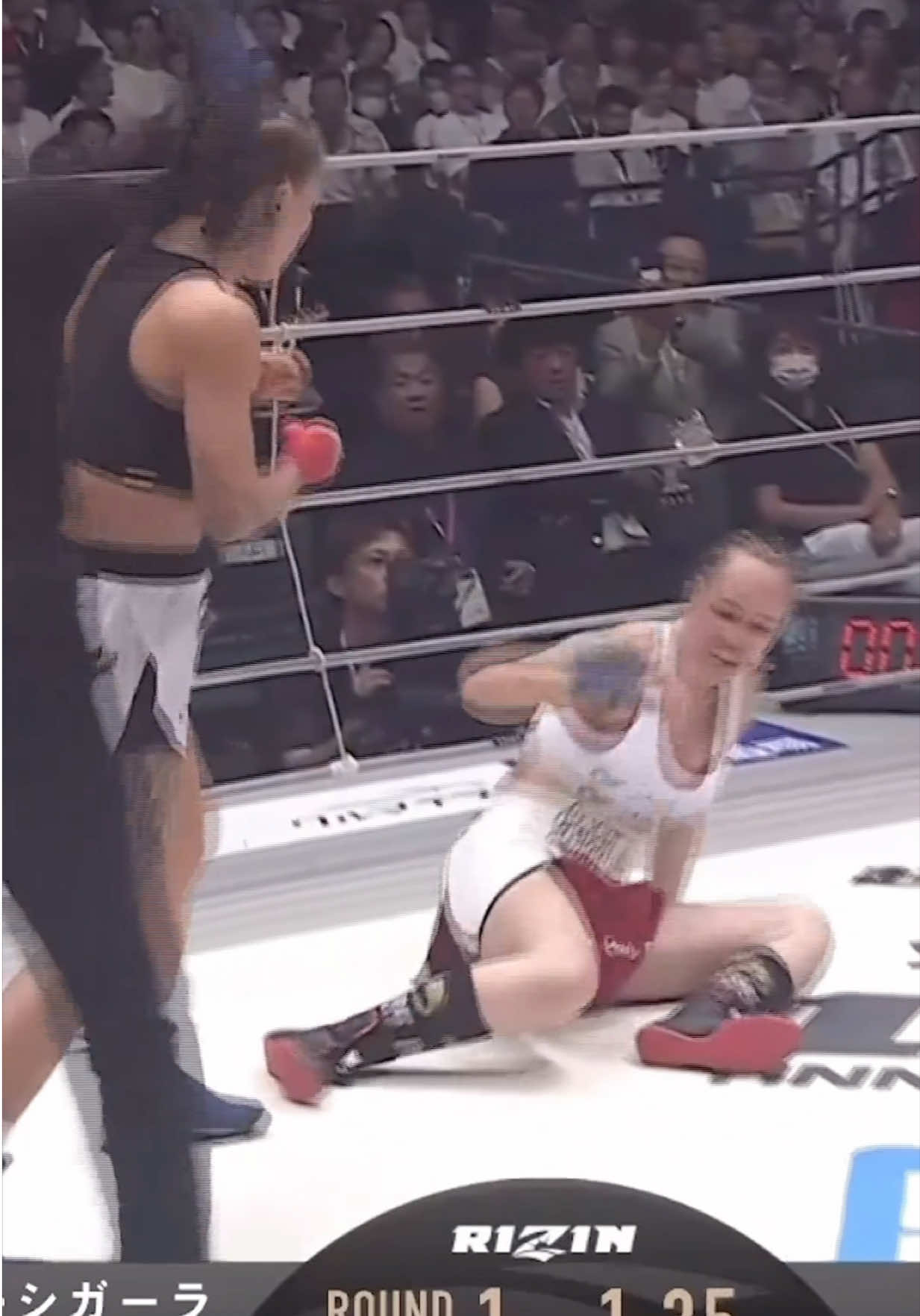 @FightingLab