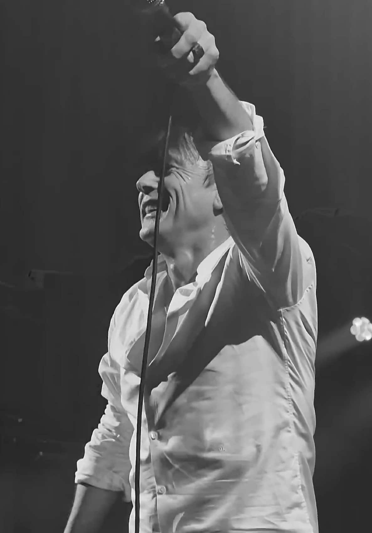 @SUEDE