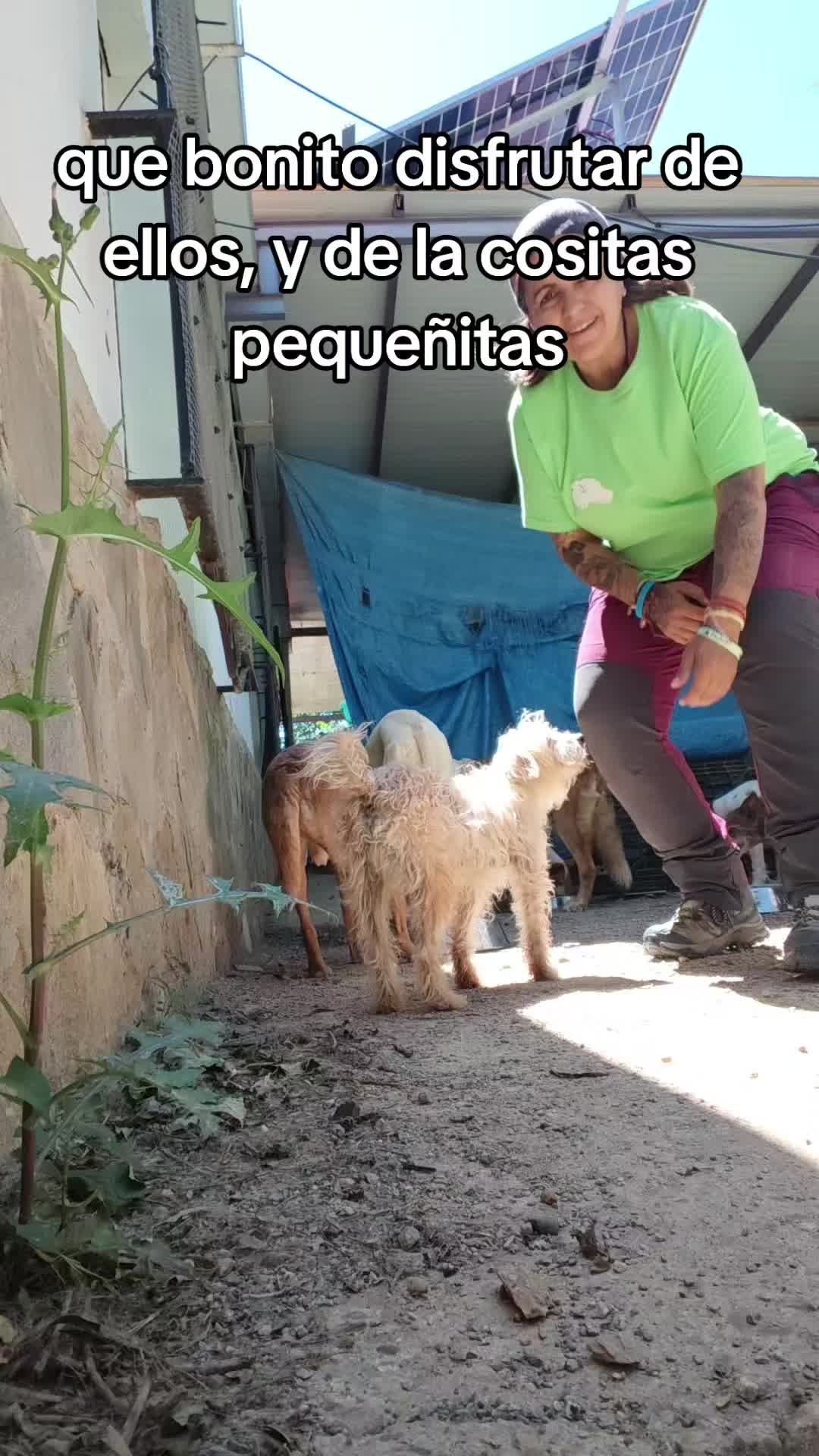 @Lamanadademontse