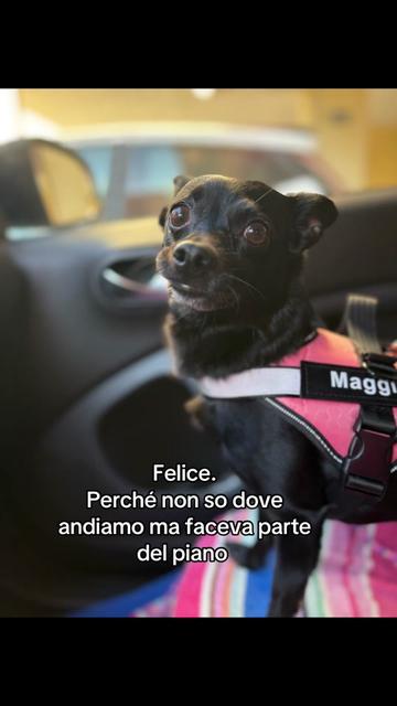 @Alice