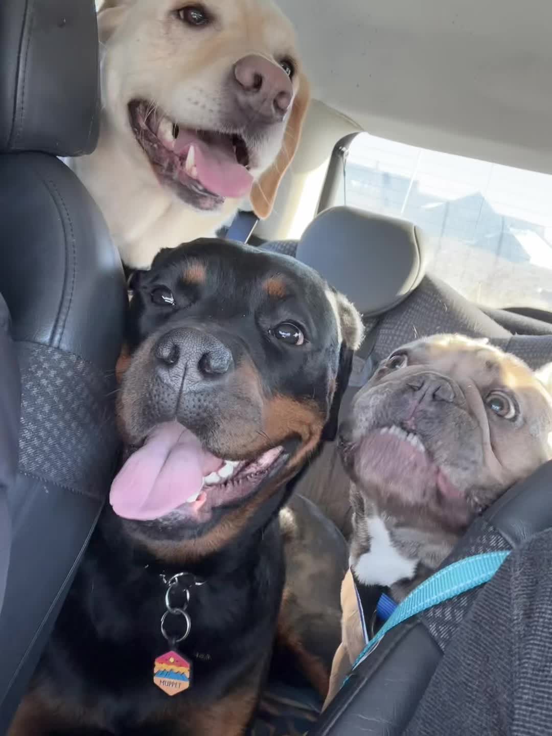 @Doozer_Sprocket_&_Fraggle