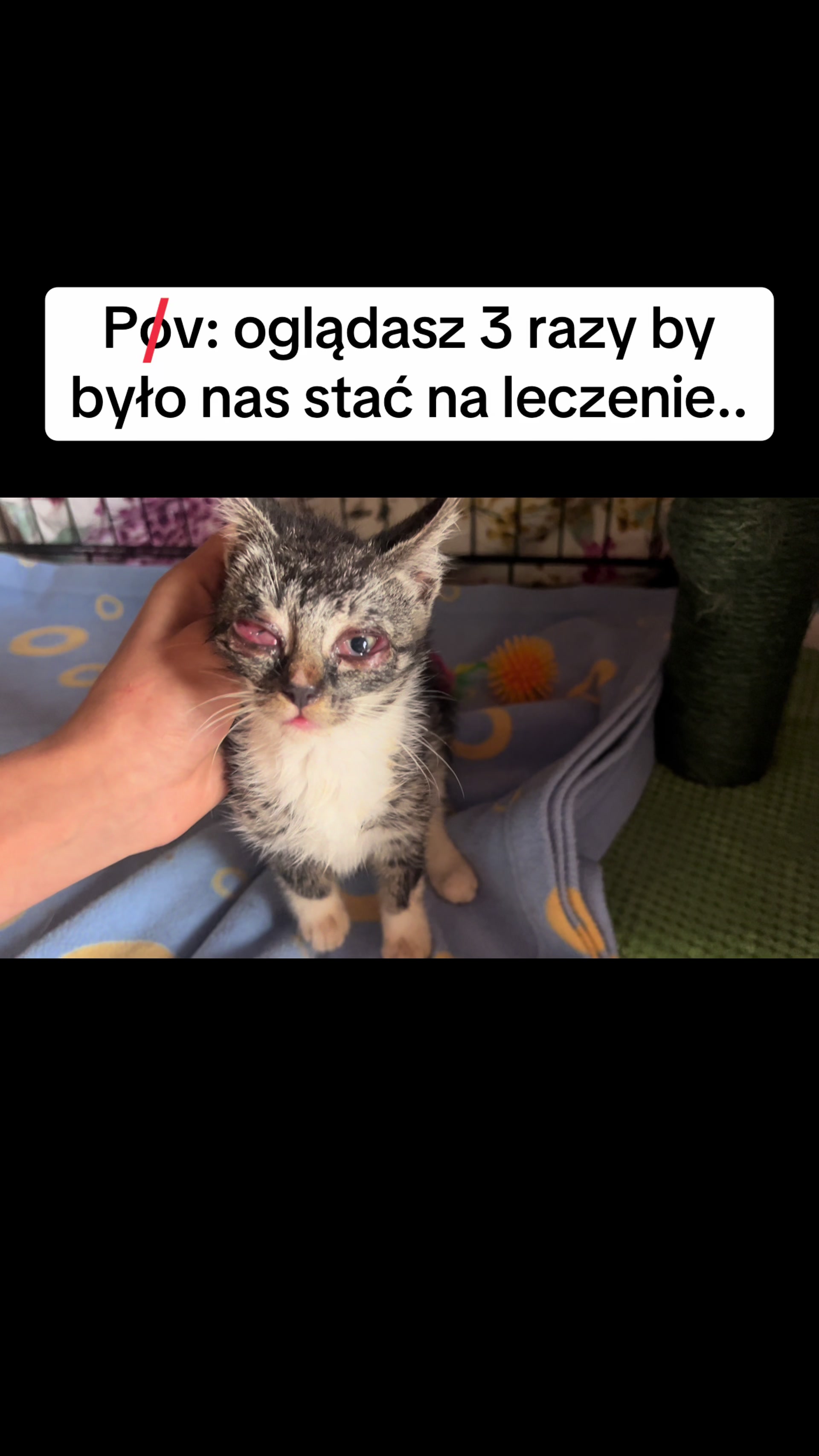 @Ratujemy