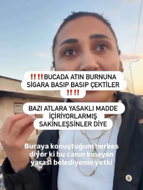 @kedifanatikleri