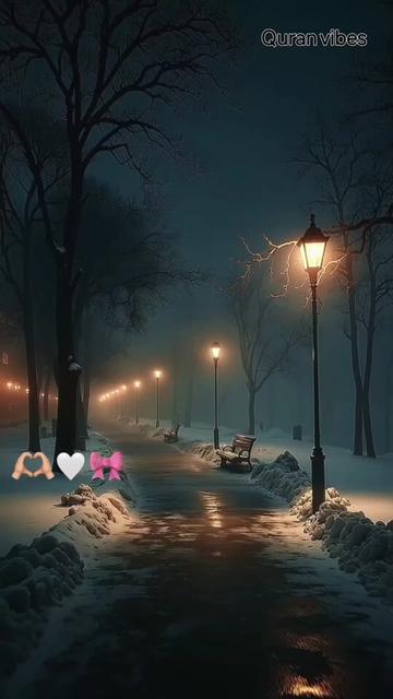 @❀𝐐𝐔𝐑𝐀𝐍♡𝐕𝐈𝐁𝐄𝐒❀