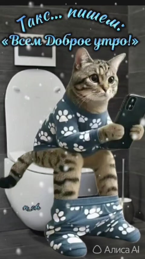 @nadezhdasvet1