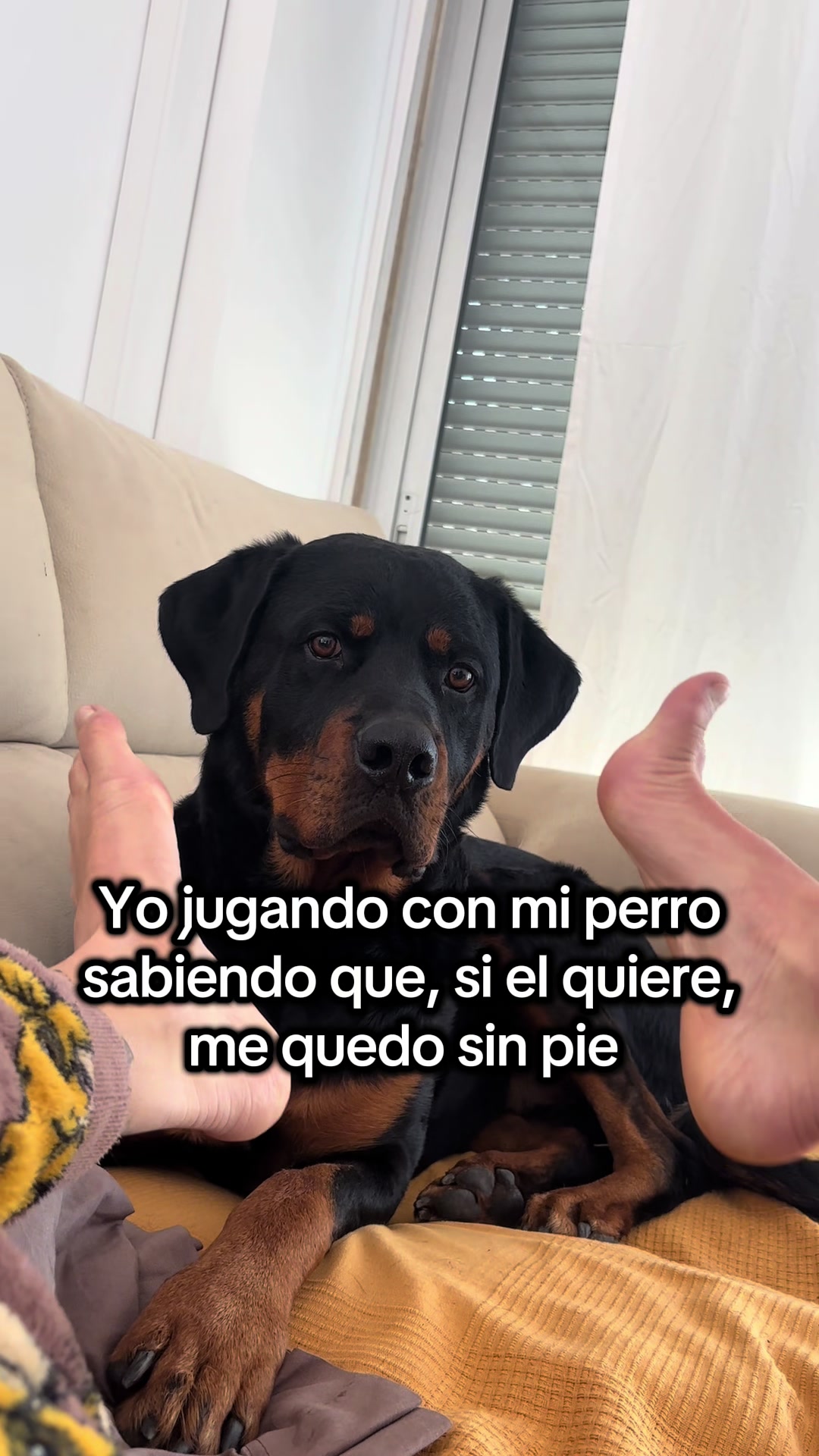 @Anubis y compa&ntilde;&iacute;a