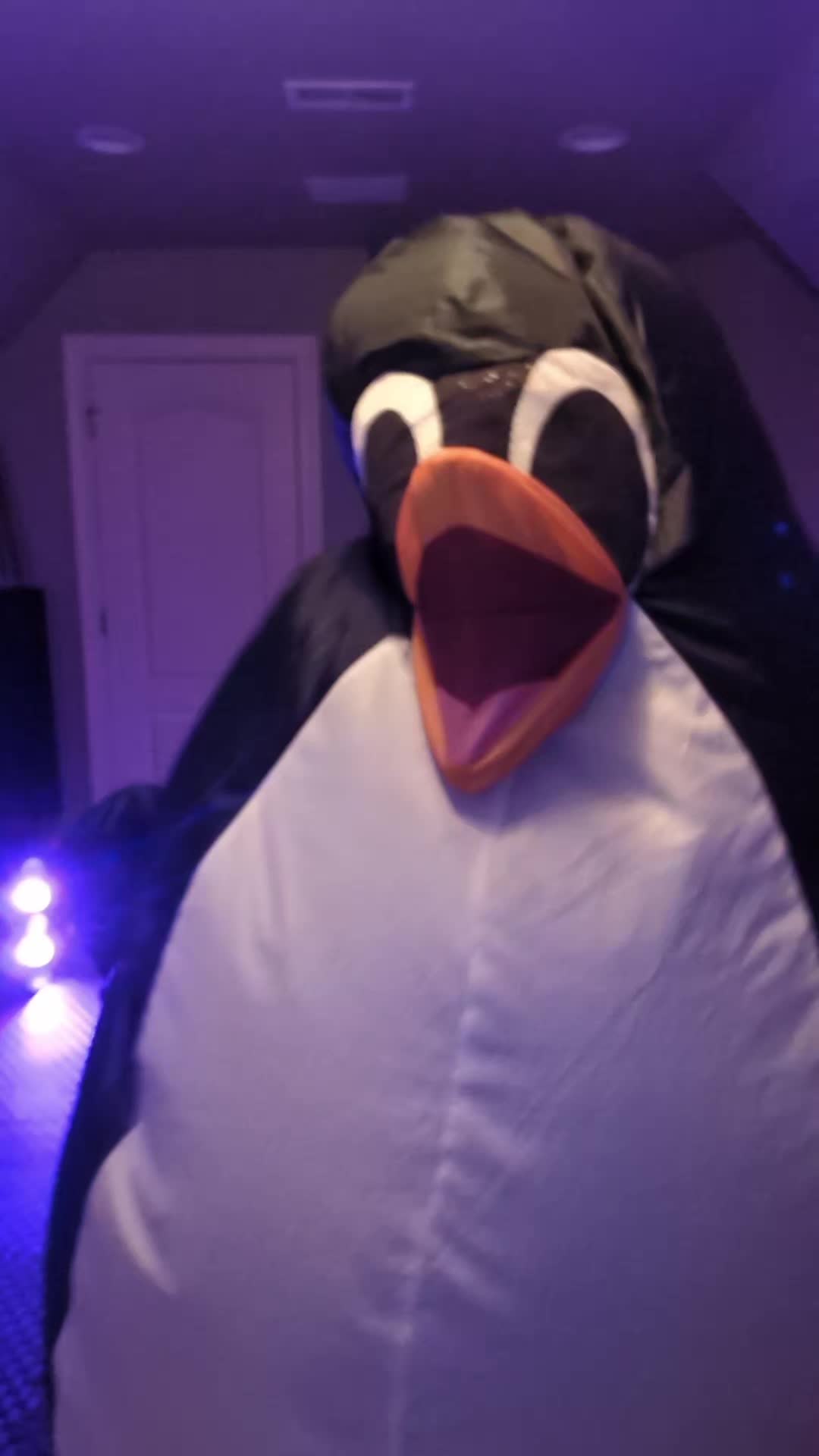 @Flipper