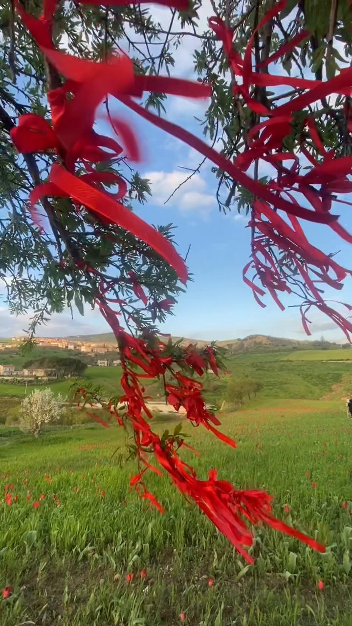 @laviniaconiglio