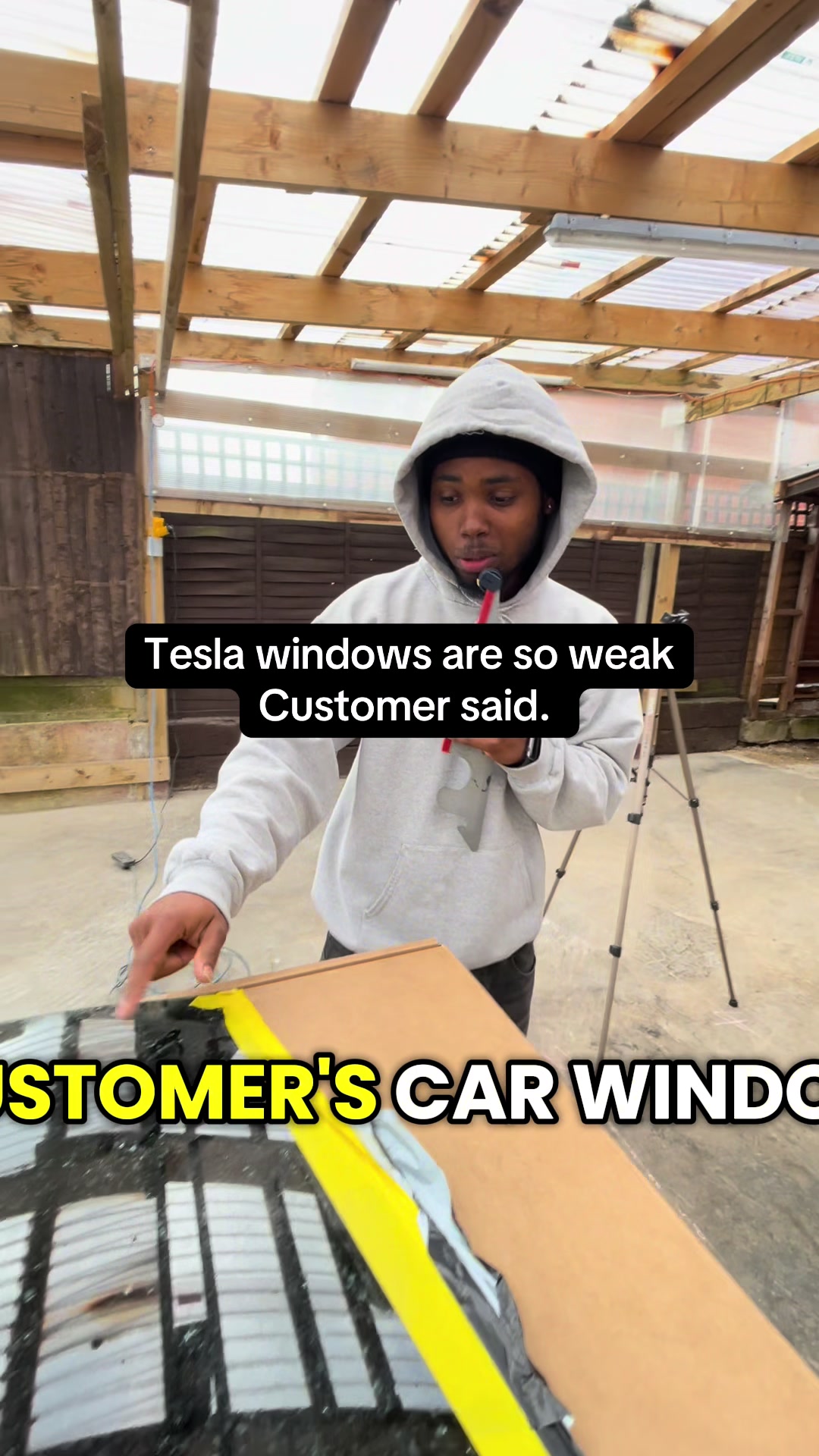 @NewBeast Tint