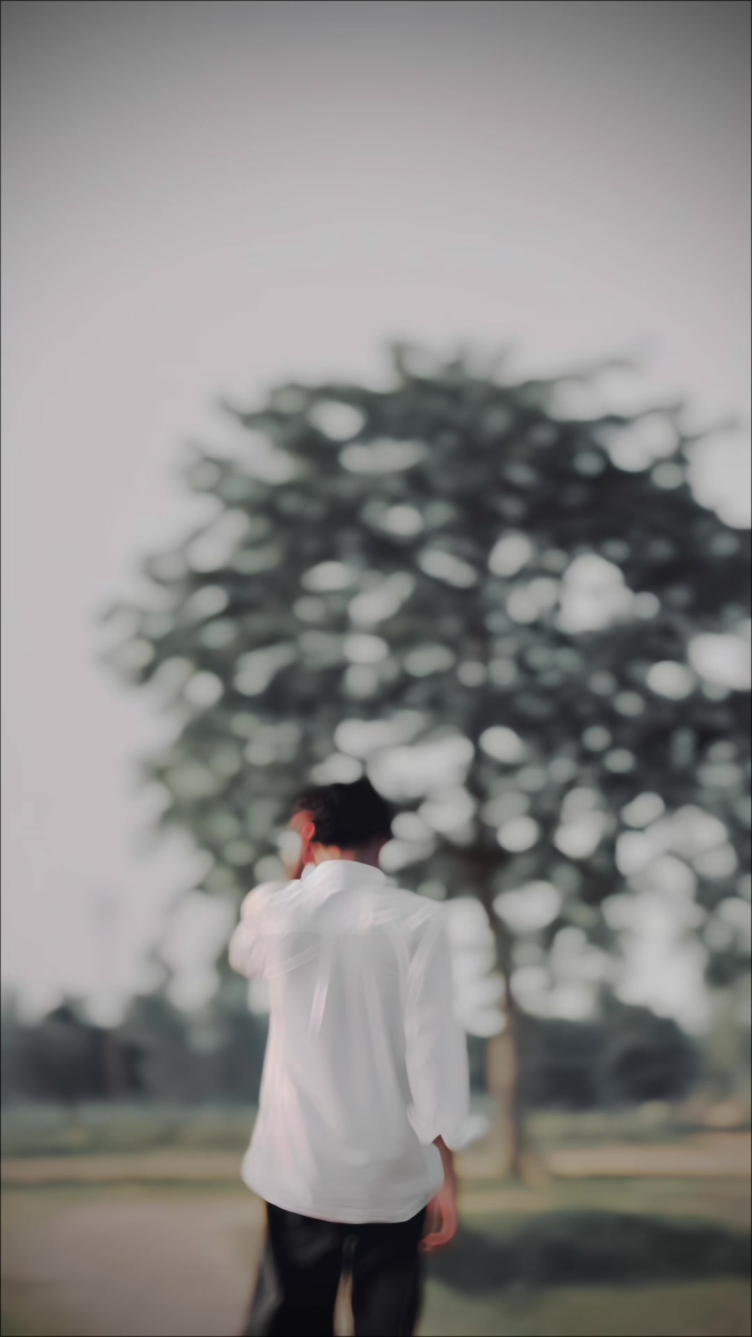 @👑𝓢úₘḯ𝓽║▌💕✿