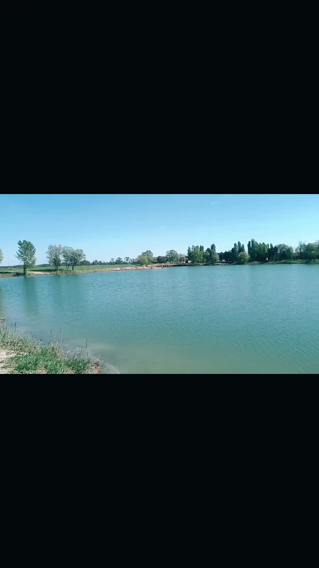 @Veterán👑👑👑
