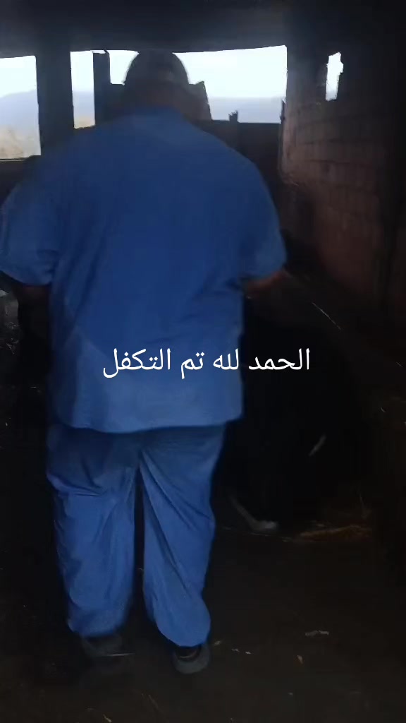 @طبيب بيطري و أفتخر