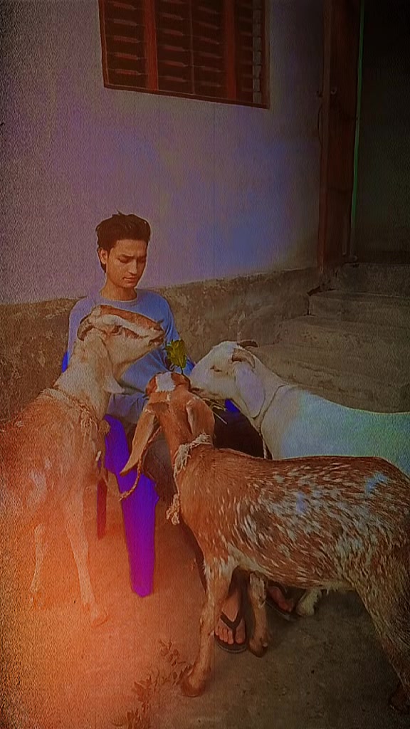 @༒☬☠𝔗ℌ𝔈̨❤️🩹𝔏𝔈ℨ𝔈𝔑𝔇☠︎☬༒