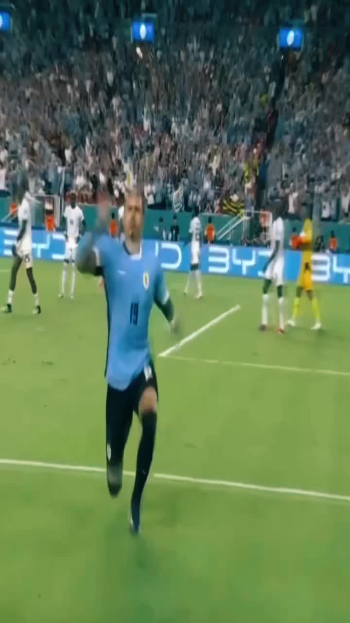 @ftbl.fernandes