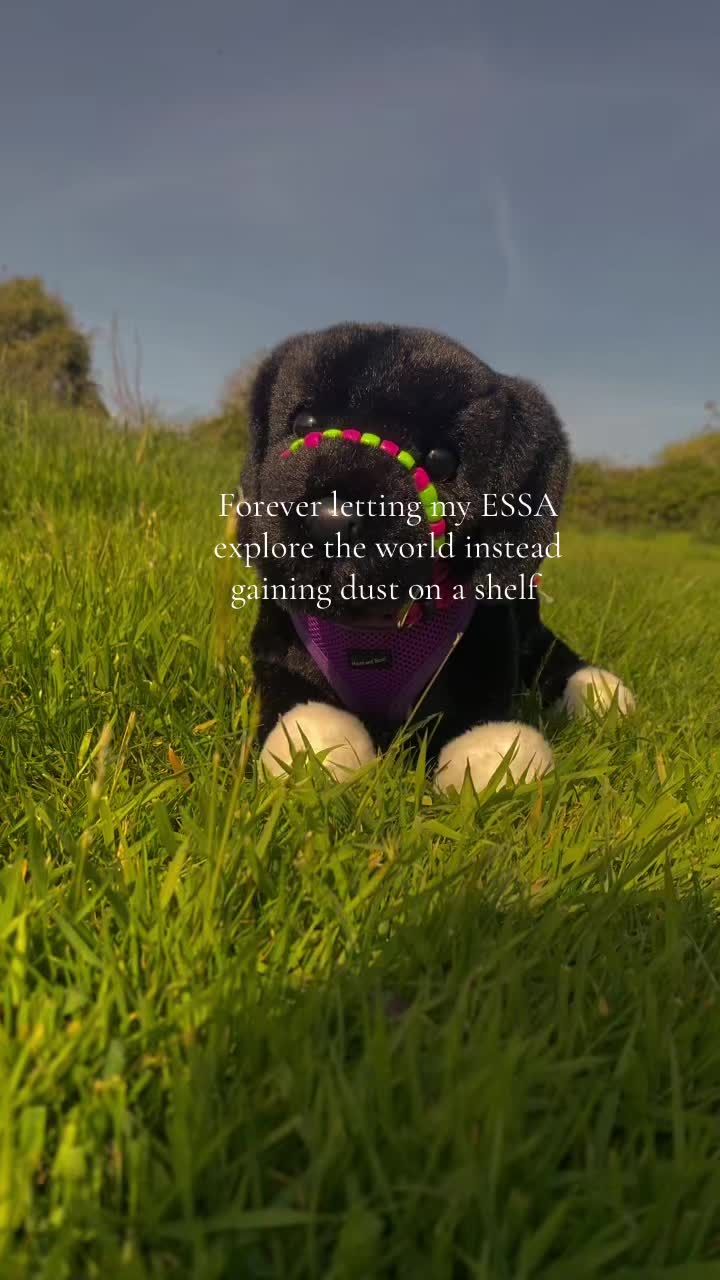 @𝖻𝖺𝖽𝗀𝖾𝗋