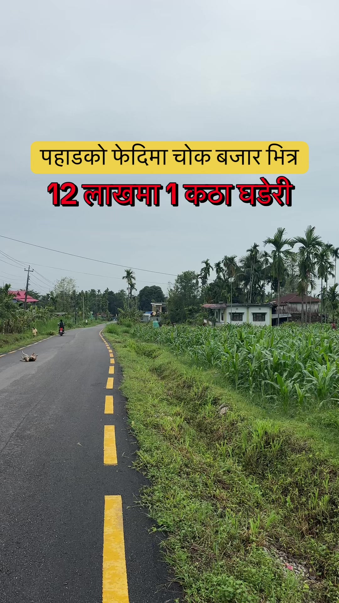 @Maikal ghar jagga