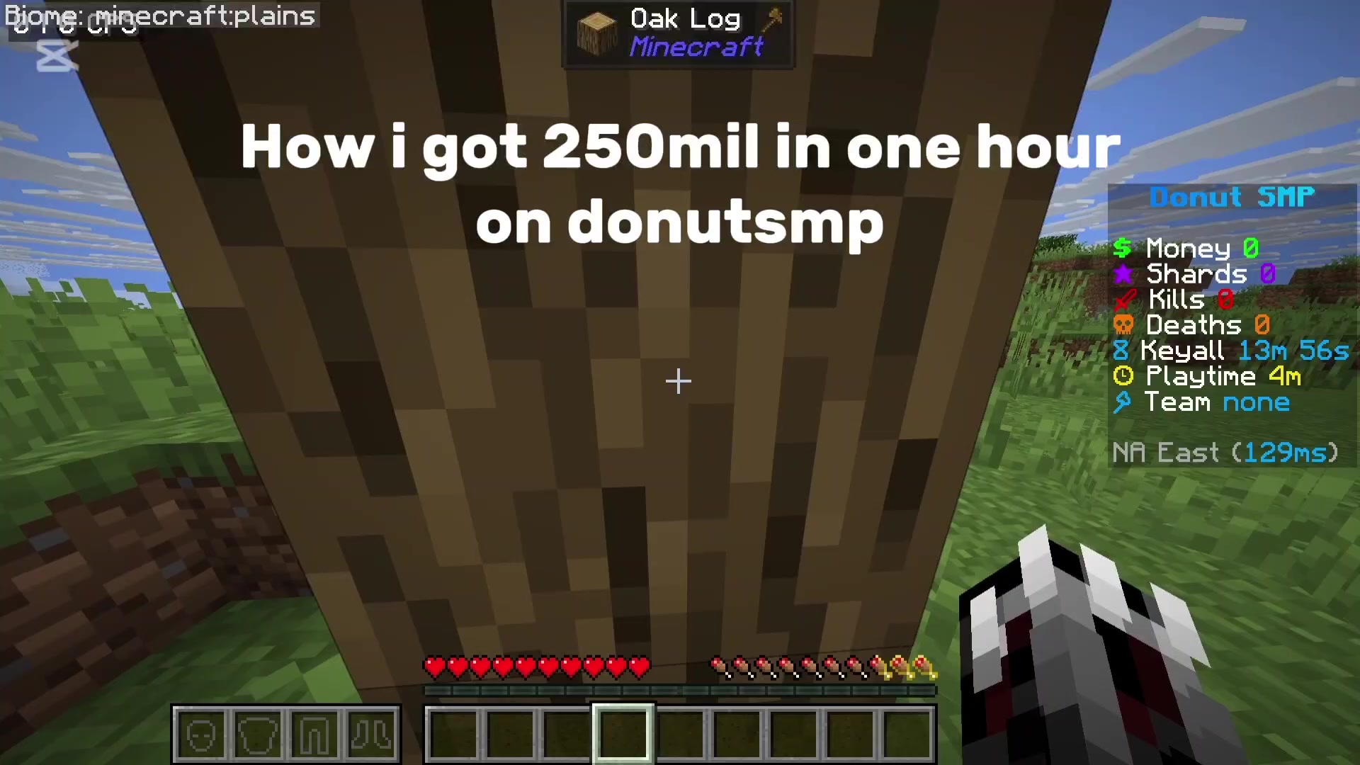 @Donut Smp Dupe in bio