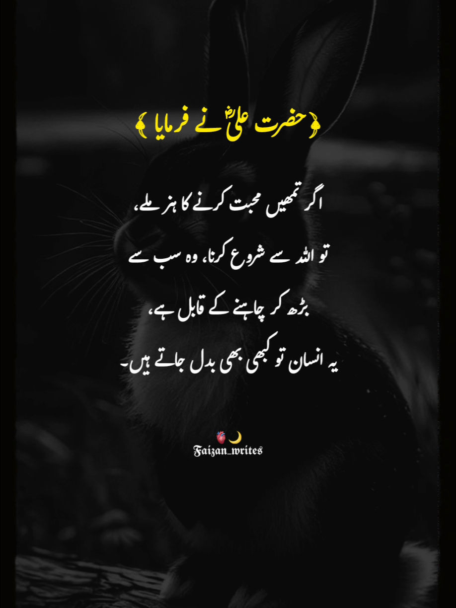 @Khan🍀Writes