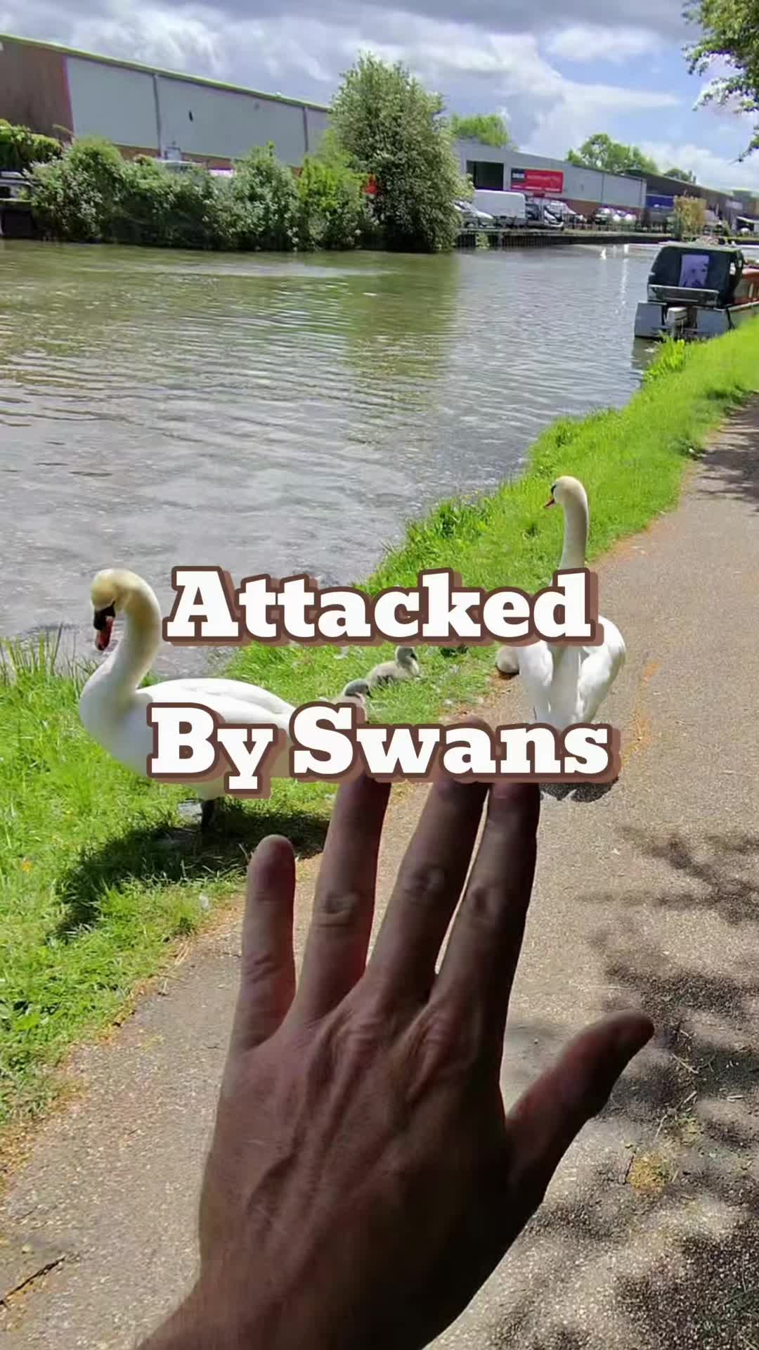 @Ryan Windridge