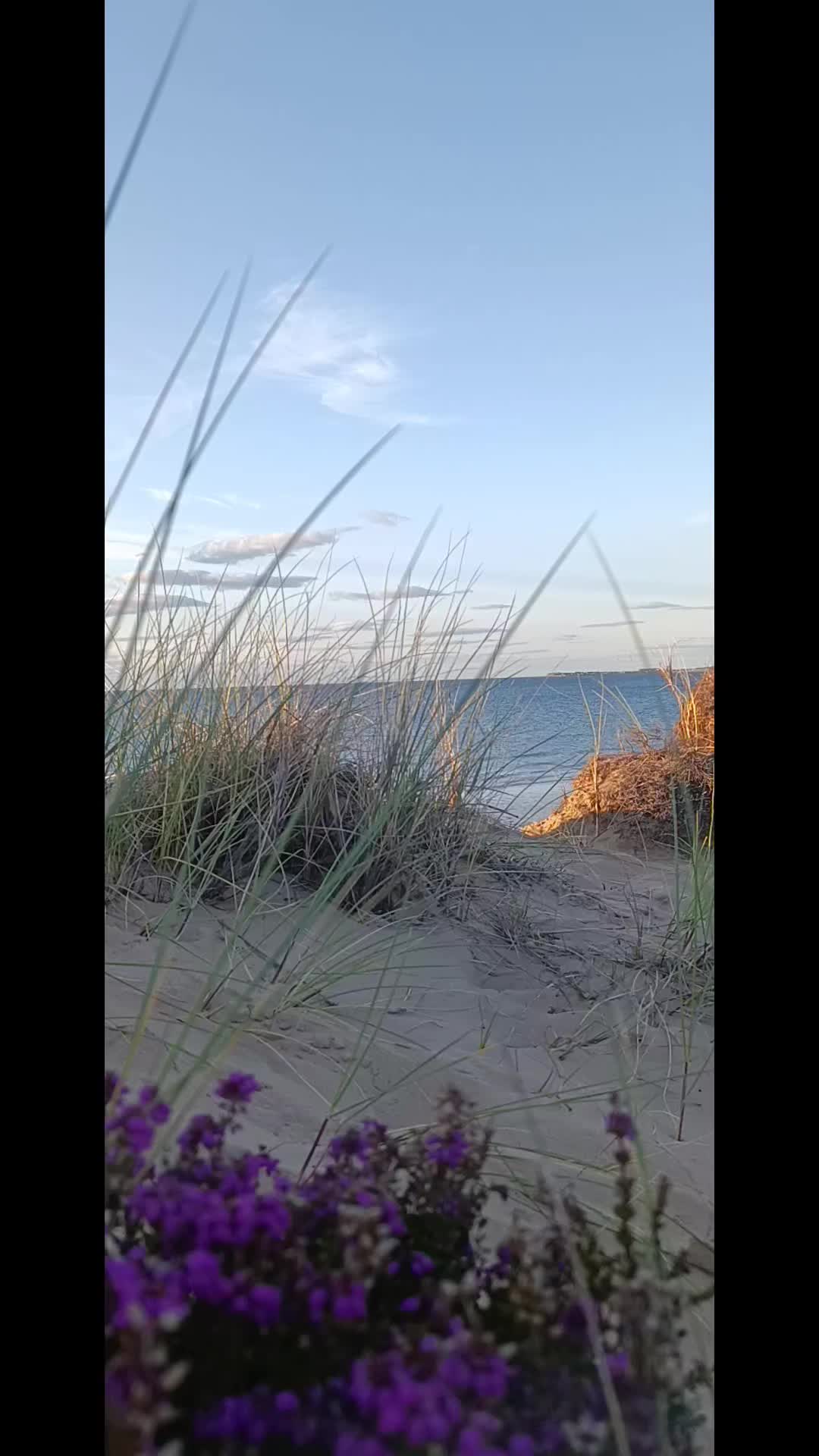 @ToniaNatureHealing