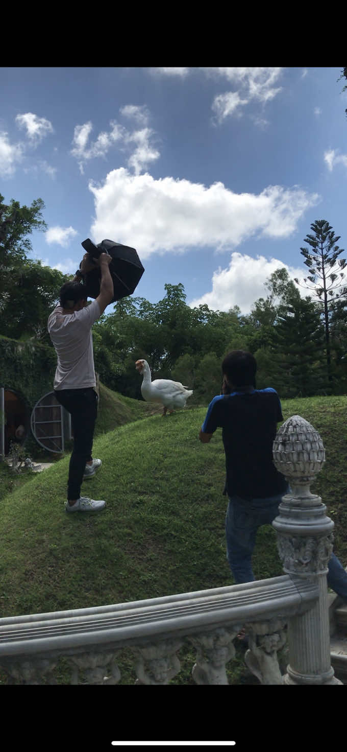 @แงซายลูกชายป๊าแพท